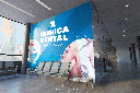 pared interna vinilo dentista pra web.png